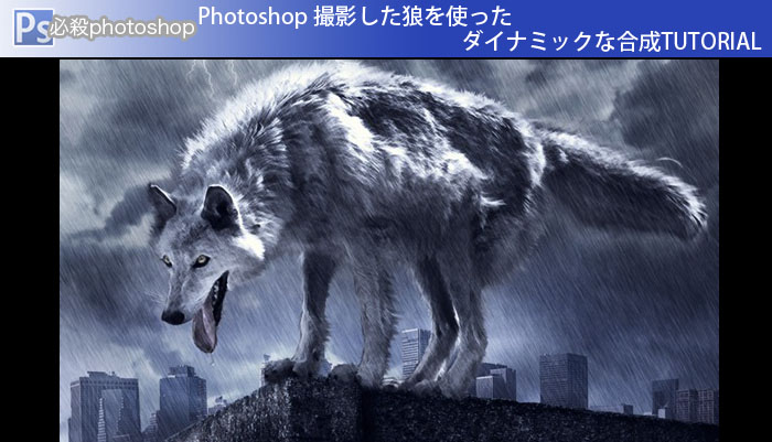 Photoshop 撮影した狼を使ったダイナミックな合成TUTORIAL