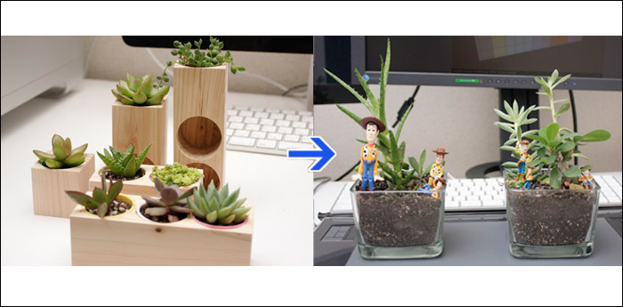 枯れた植物と成長した植物。以前購入したヒノキブロック５点セット~その後