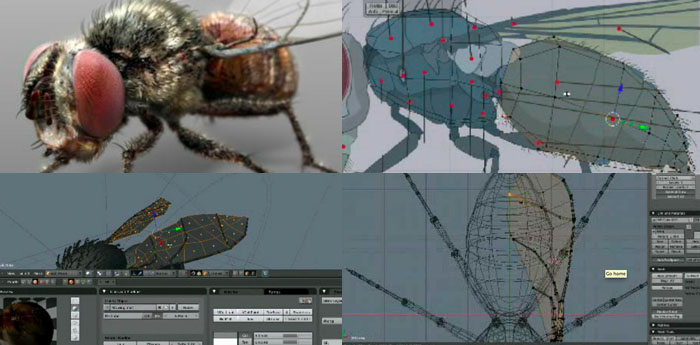 無料3DCGソフト Blenderでハエを作るスピードモデリング動画