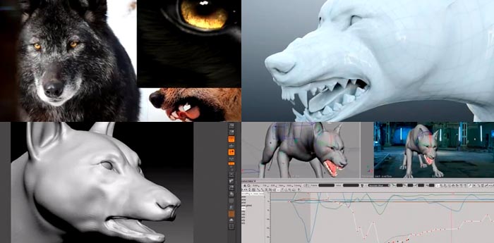 資料集め・骨の構造・スカルプト・アニメーション付けをして作成された狼のメイキング映像。