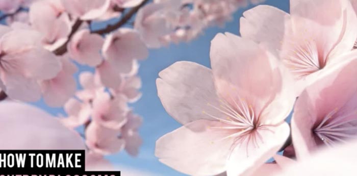 無料CGソフトBlenderで桜の花びらを作るチュートリアル動画。
