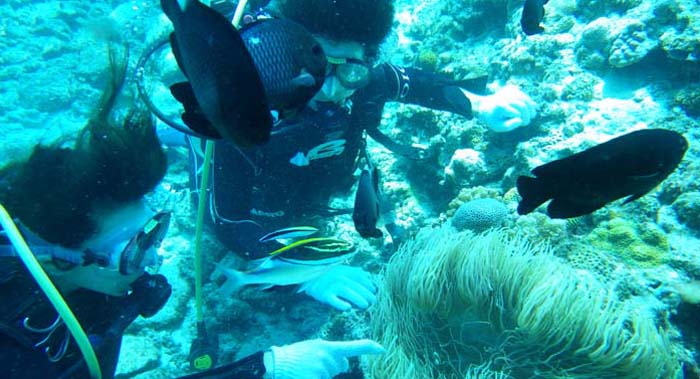 初めての沖縄旅行２日目！旅行の１番の思い出になった！水納島での初ダイビング！