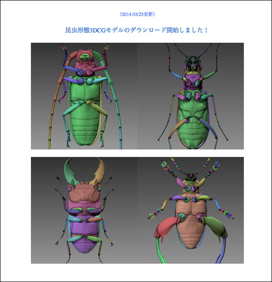 クワガタやテントウ虫 15種類の昆虫モデルを無料で配布してくれてる！ゼロ工房さん