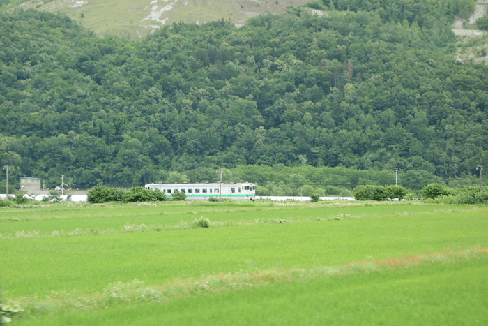 行って良かった富良野旅行5つの場所！