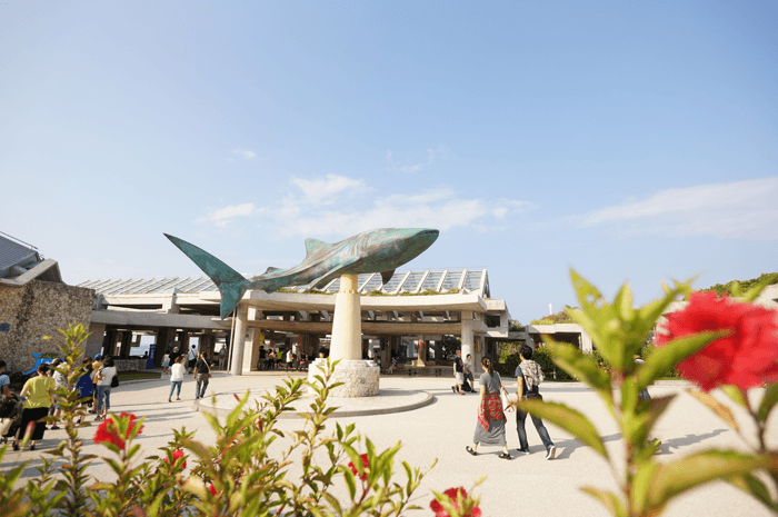 沖縄旅行2015年！2度めの美ら海水族館へ行ってきました！やっぱりジンベエザメの迫力は凄い！