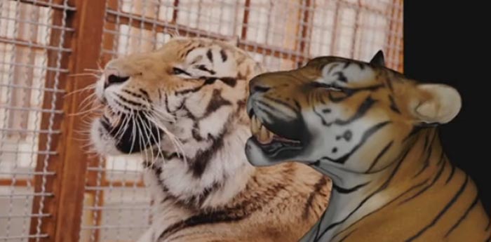 130404_lifeofpi.jpg