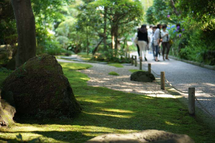 130629_kamakura_15.jpg